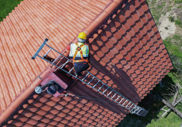 Best Skylight Installation and Repair  in Prairie Creek, AR